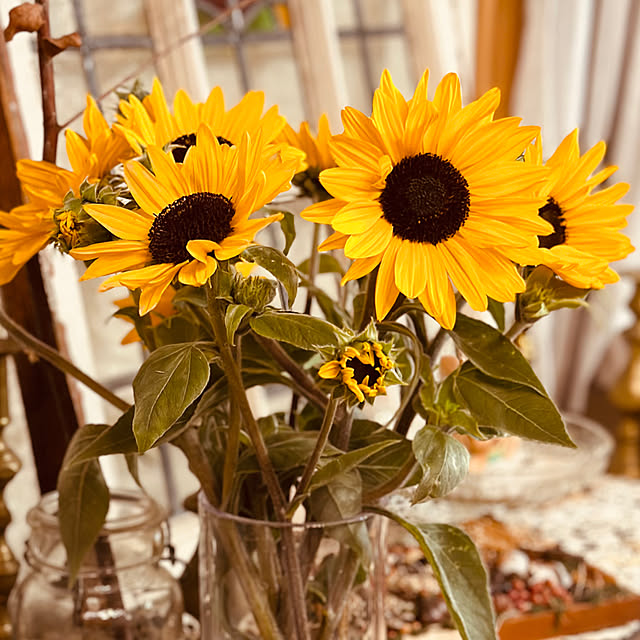 megmilkさんの実例写真