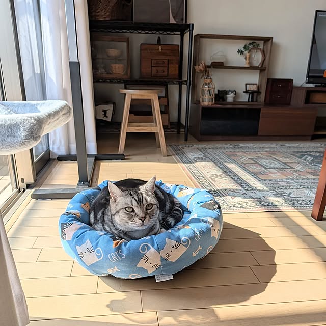 lovepeaceさんの部屋