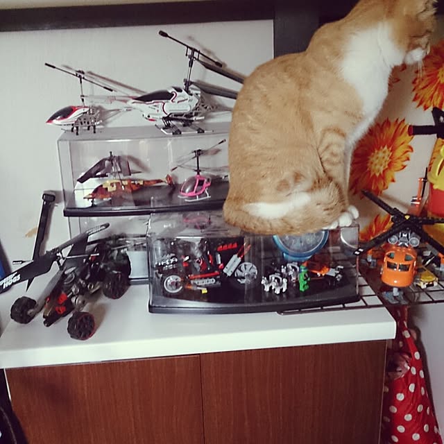 Ritaさんの実例写真