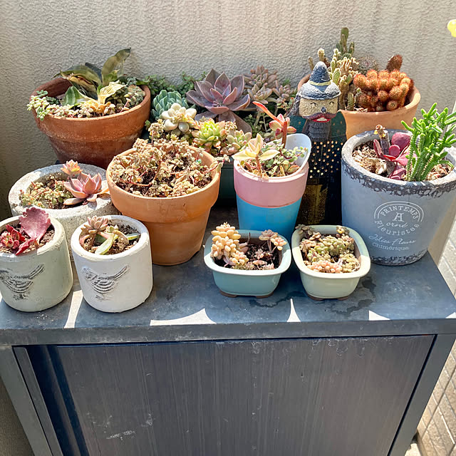 marukoさんの実例写真