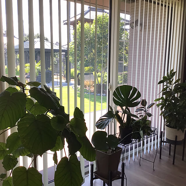houenさんの部屋