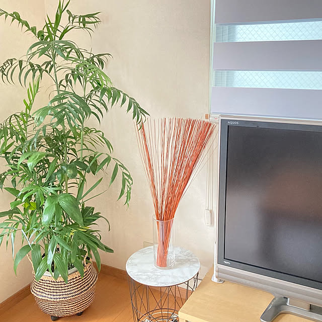 ruruさんの実例写真