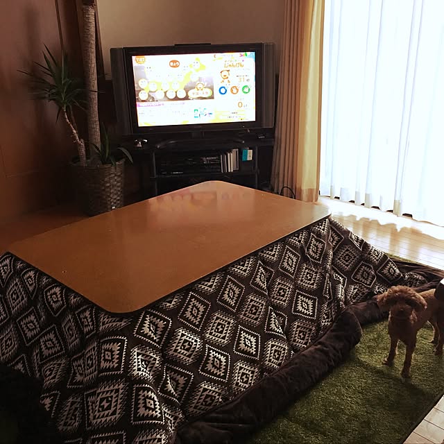 部屋全体のインテリア実例 - 2016-11-11 08:01:07