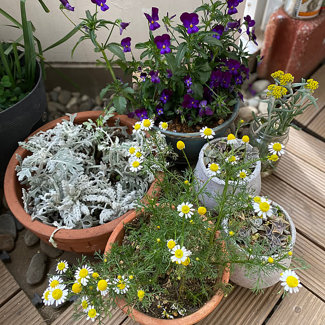 mamiさんの部屋