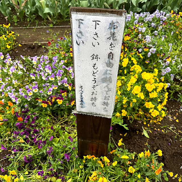 mizucchiさんの部屋