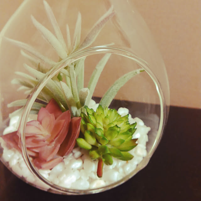 waniwaniさんの実例写真