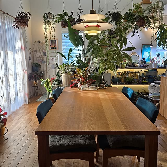 nonbiri_house_さんの実例写真