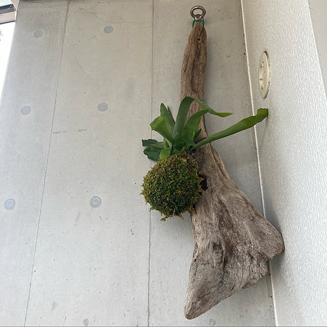 tomotomoさんの実例写真