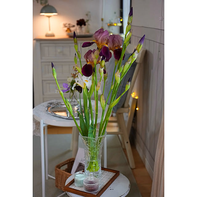 haruisabelさんの部屋