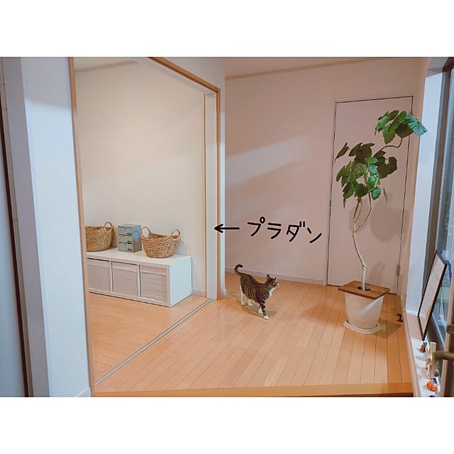m.aさんの実例写真