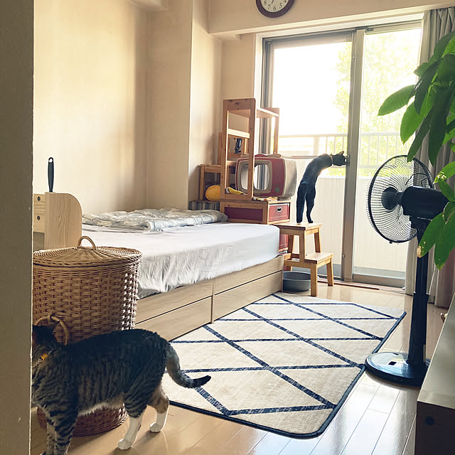 suemonta14さんの部屋