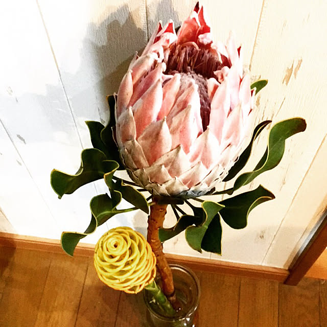 Si_noさんの実例写真