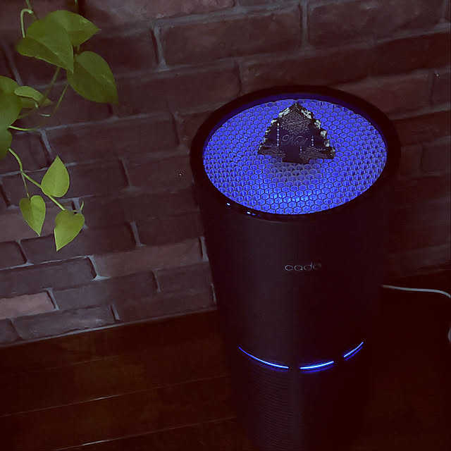 usagiさんの部屋