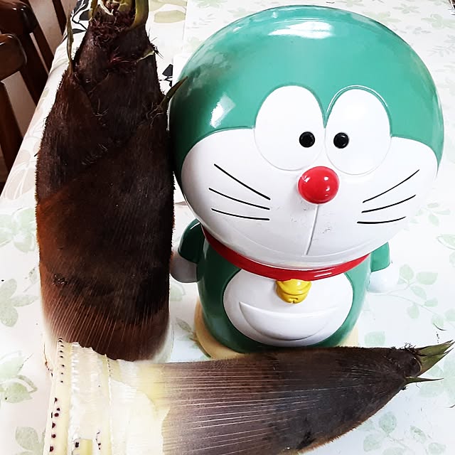 katさんの実例写真