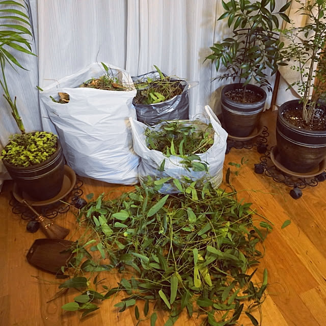 aromameさんの実例写真