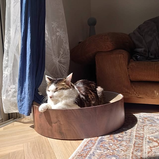 yuki1004さんの実例写真