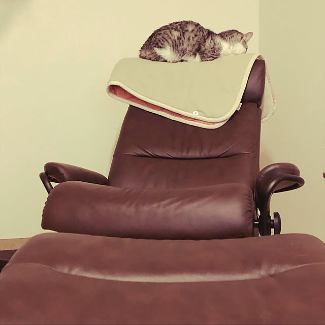 nekosikaさんの実例写真