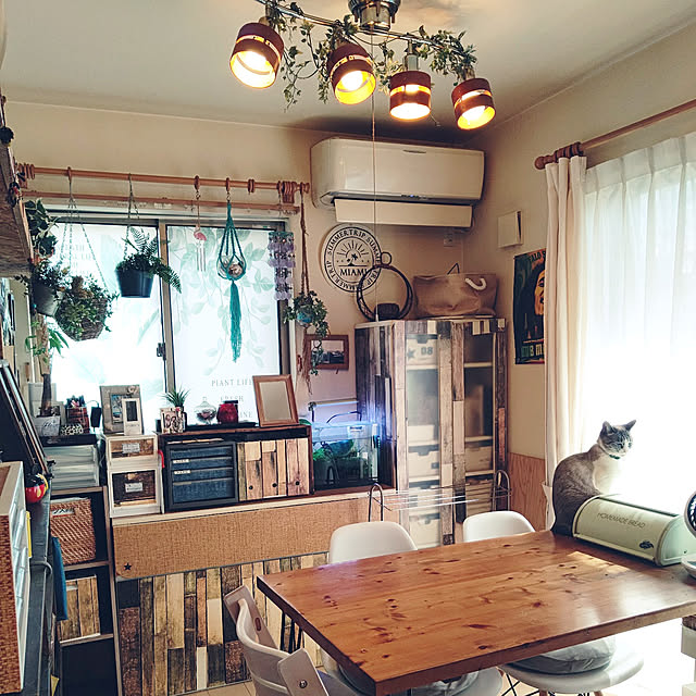机/建て売りでもあきらめない/建売/ねこのいる暮らし/カーテン断捨離...などのインテリア実例 - 2021-03-04 18:05:21