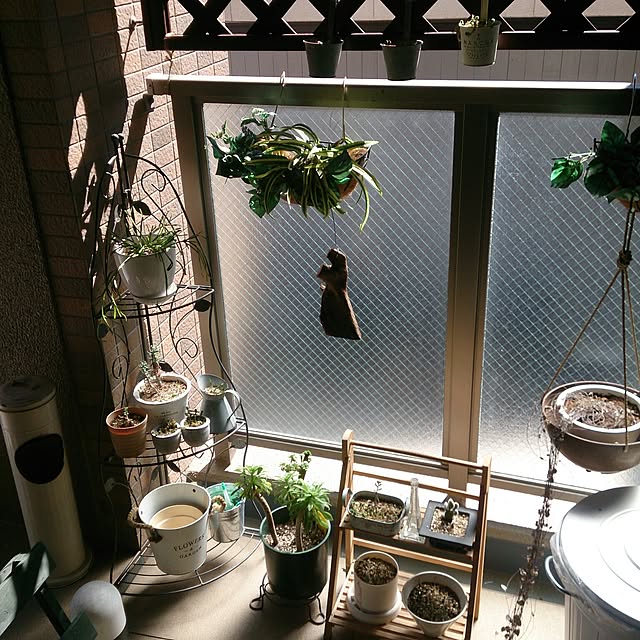 n0516さんの実例写真