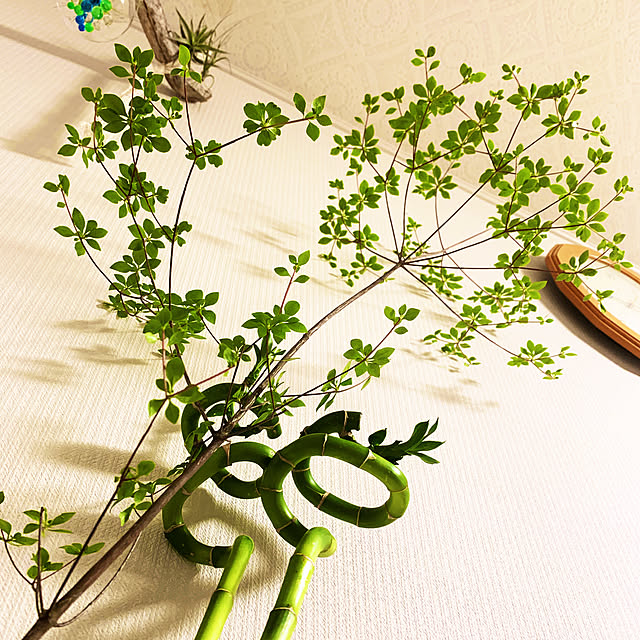 aporotiaさんの実例写真
