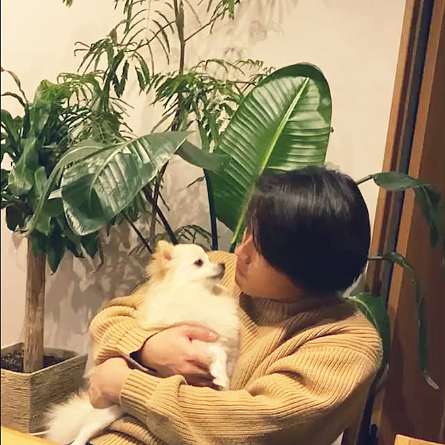 1546さんの実例写真