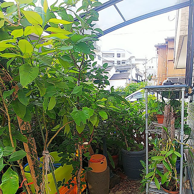 mitsuyama3136さんの実例写真
