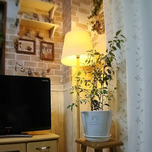 naopyiさんの実例写真
