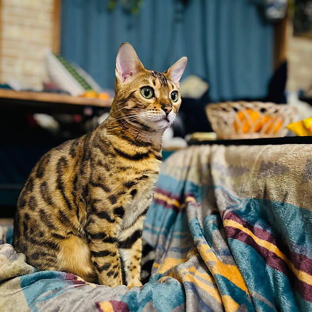 tututu0204さんの部屋