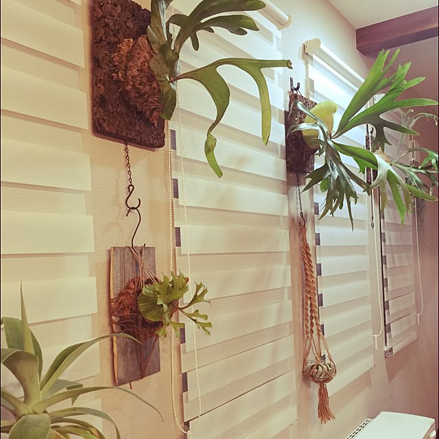 tkc034さんの実例写真