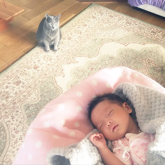 rhino.mamaさんの実例写真