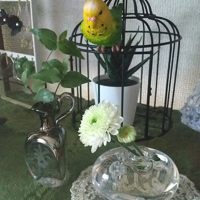 noaさんの実例写真