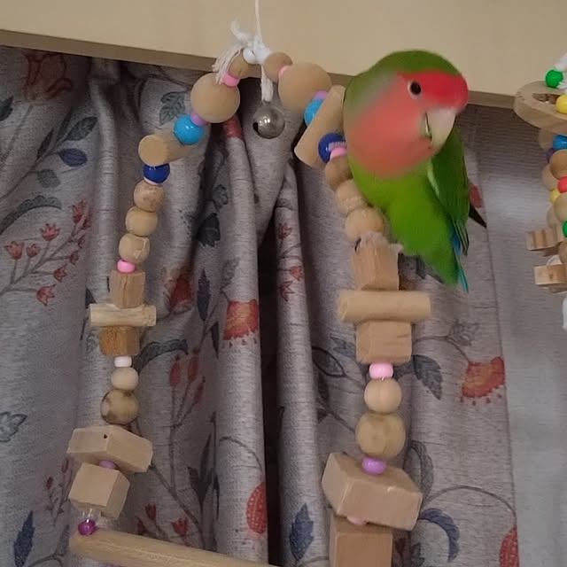 toratanさんの部屋