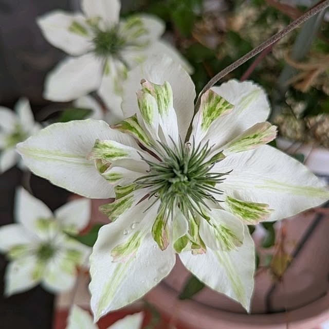 mi-saさんの部屋