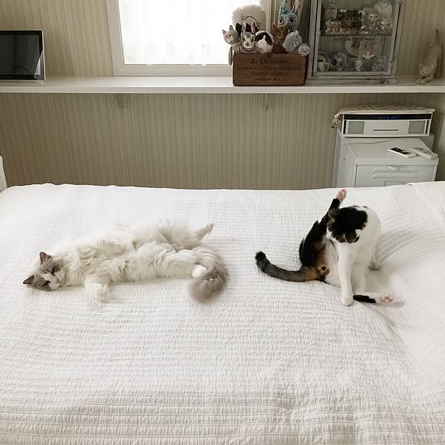 yuchiさんの実例写真