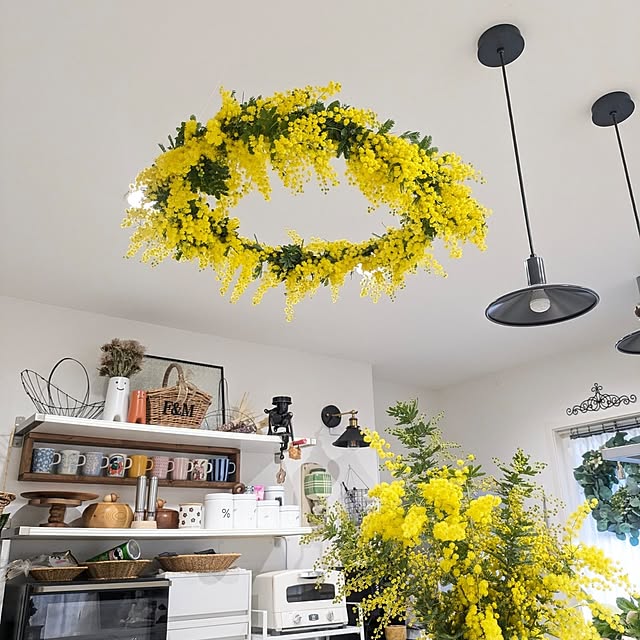 fumitanさんの部屋