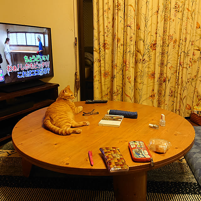okyosan101さんの実例写真
