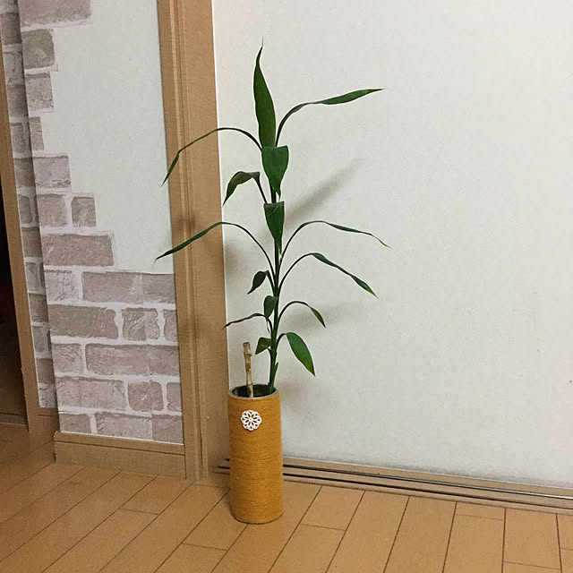 tudukiさんの実例写真