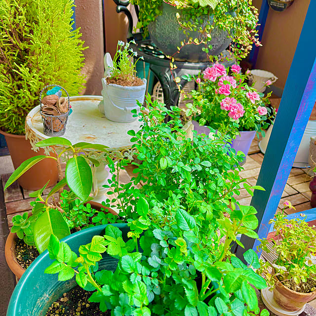 naokoさんの部屋