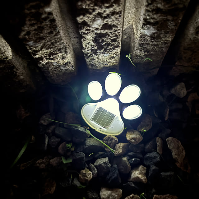 chIoeさんの部屋