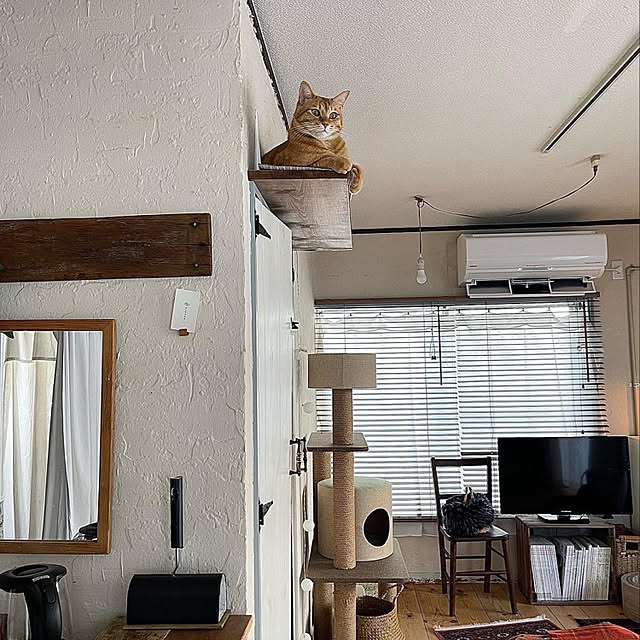 rijuさんの実例写真