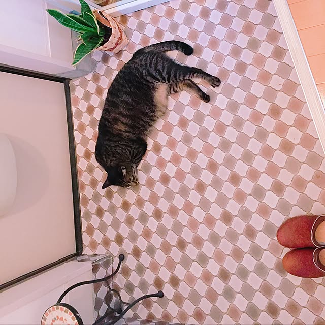 nyan.73さんの実例写真