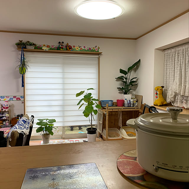 mohimikanさんの実例写真