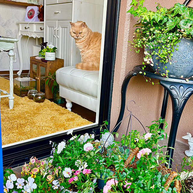 naokoさんの部屋