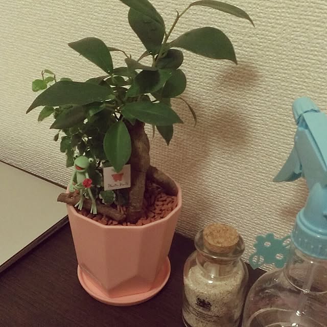 eriさんの実例写真