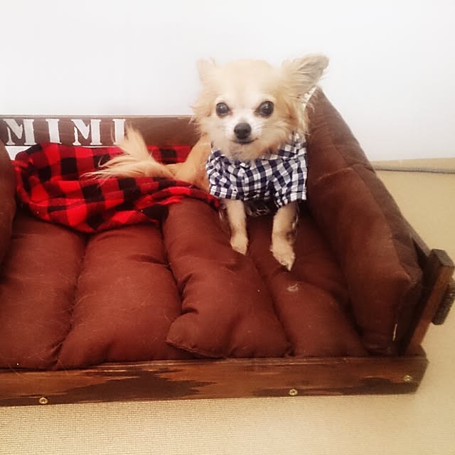 Minakoさんの実例写真