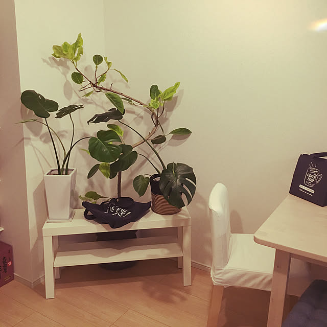 壁/天井/観葉植物/ナチュラル/雑貨/一人暮らし...などのインテリア実例 - 2018-07-27 19:15:14
