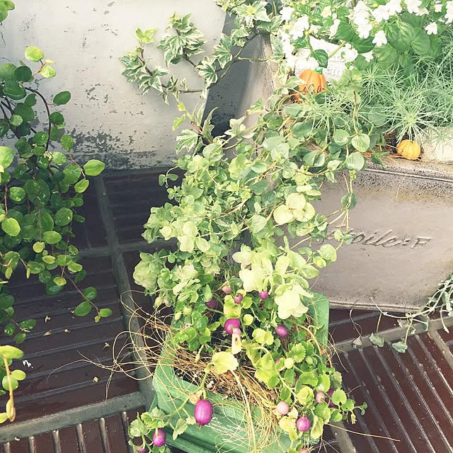 marikaさんの実例写真