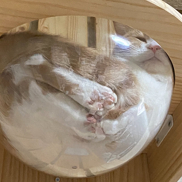 mintteaさんの部屋