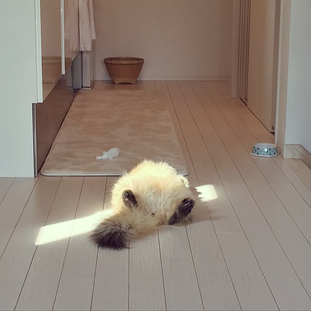 koumeさんの実例写真