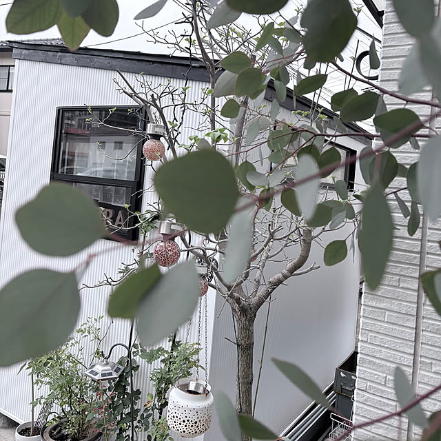 hirariさんの部屋